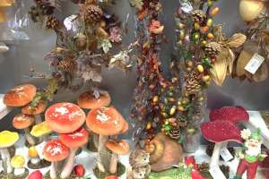 Comme un air d'automne